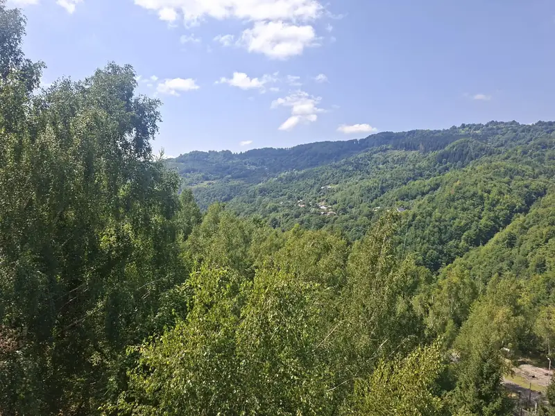 Versanți împăduriți — Barajul Paltinu