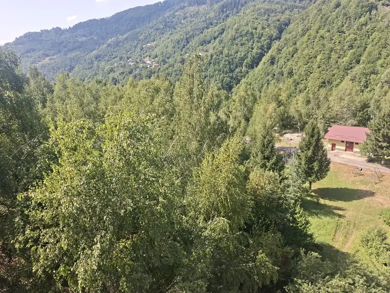 Versanți împăduriți — Barajul Paltinu