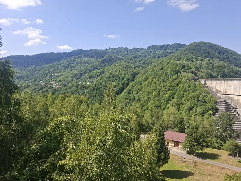 Versanți împăduriți — Barajul Paltinu
