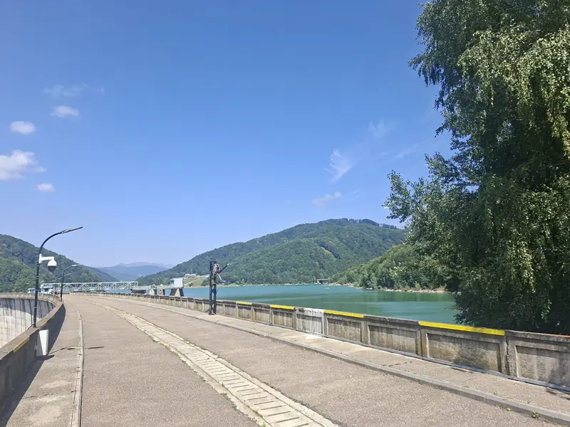 Baraj și peisajul din jur — Barajul Paltinu