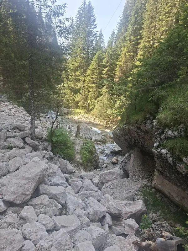 Apă curgătoare între stânci — Cheile Tătarului