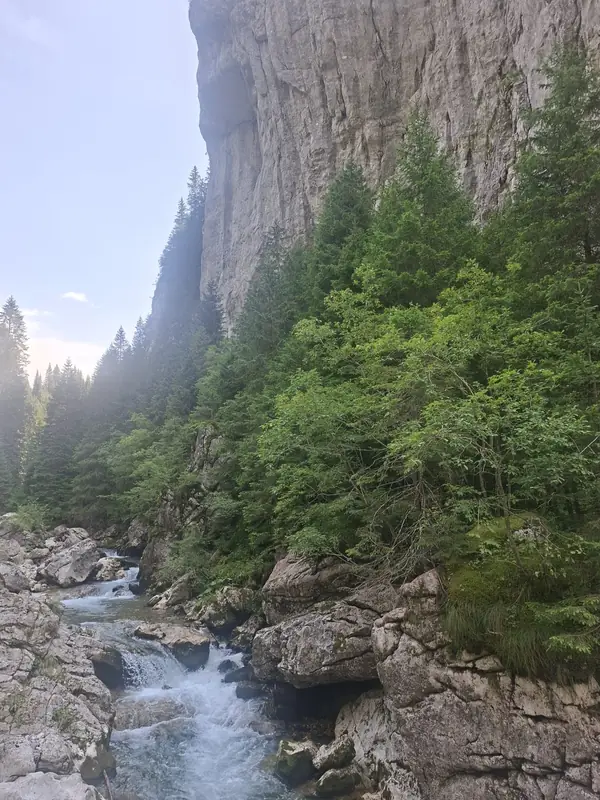 Apă curgătoare între stânci — Cheile Tătarului