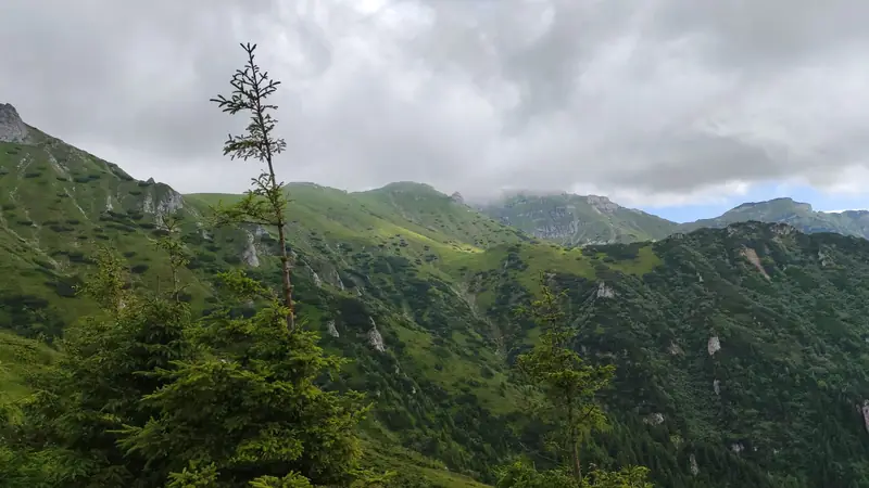 Culmi montane — Brașov – Refugiul Țigănești