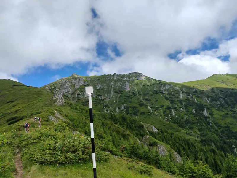 Marcaj pe potecă montană — Brașov – Refugiul Țigănești