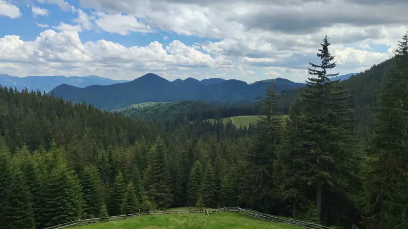 Culmi montane — Mălăiești