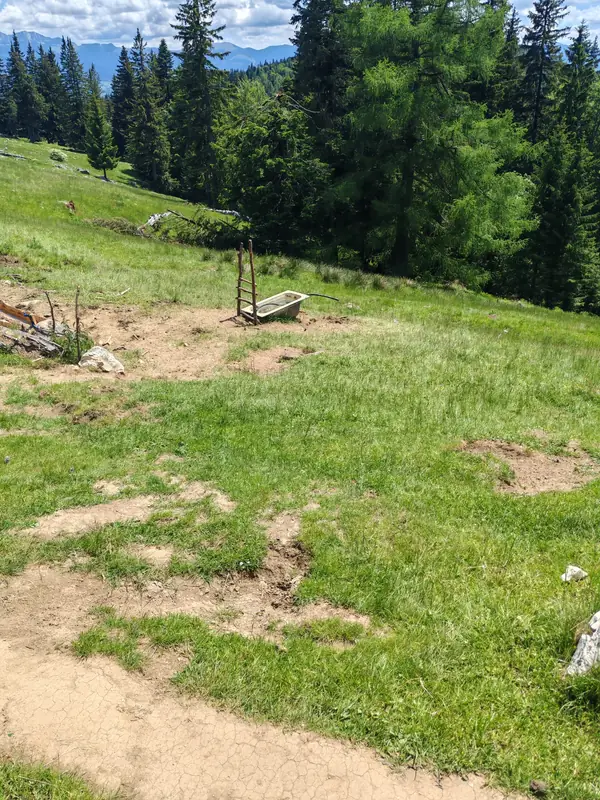 Marcaj pe potecă montană — Mălăiești