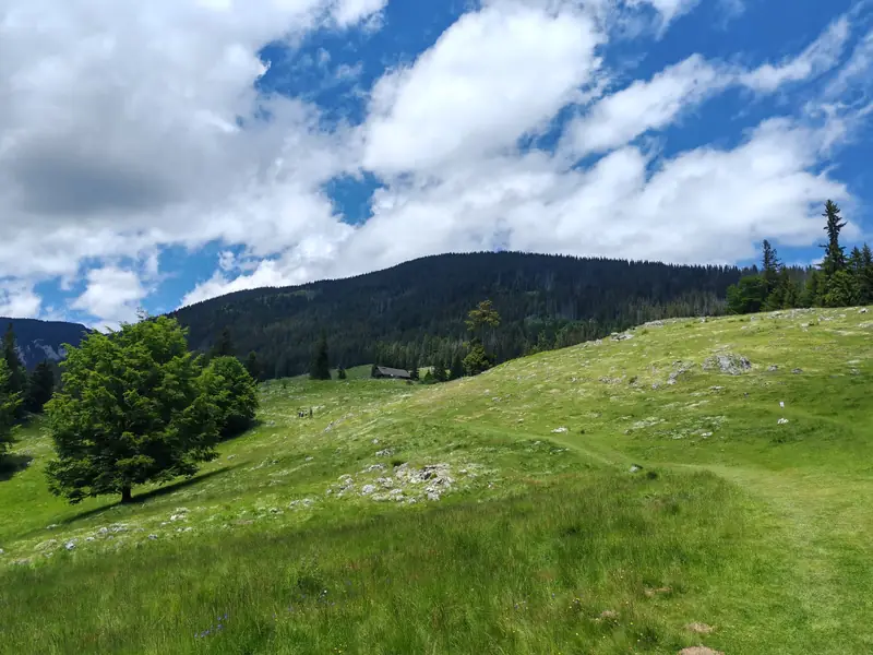 Culmi montane — Mălăiești