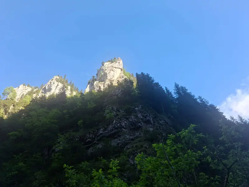 Culmi montane — Mălăiești