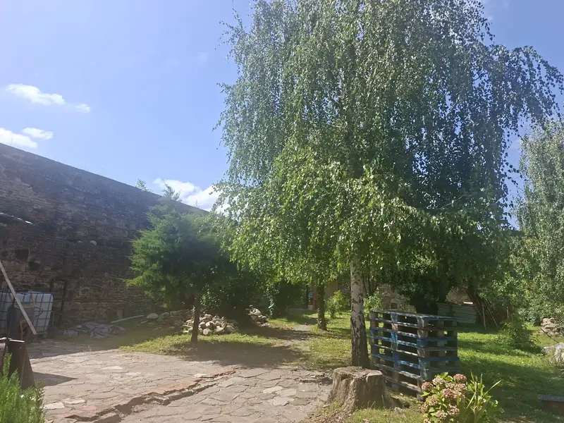 Grădină și vegetație — Castelul Hasdeu și Curtea Domnească Brebu