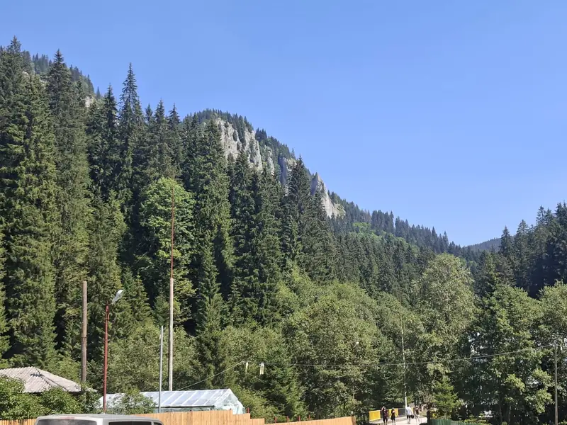 Versanți împăduriți — Șapte Izvoare și Lacul Scropoasa