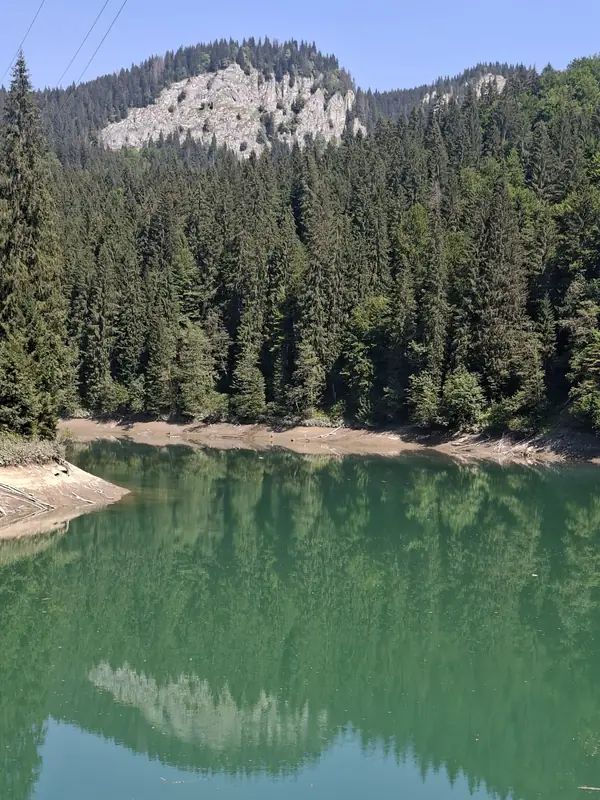 Lac înconjurat de pădure — Șapte Izvoare și Lacul Scropoasa