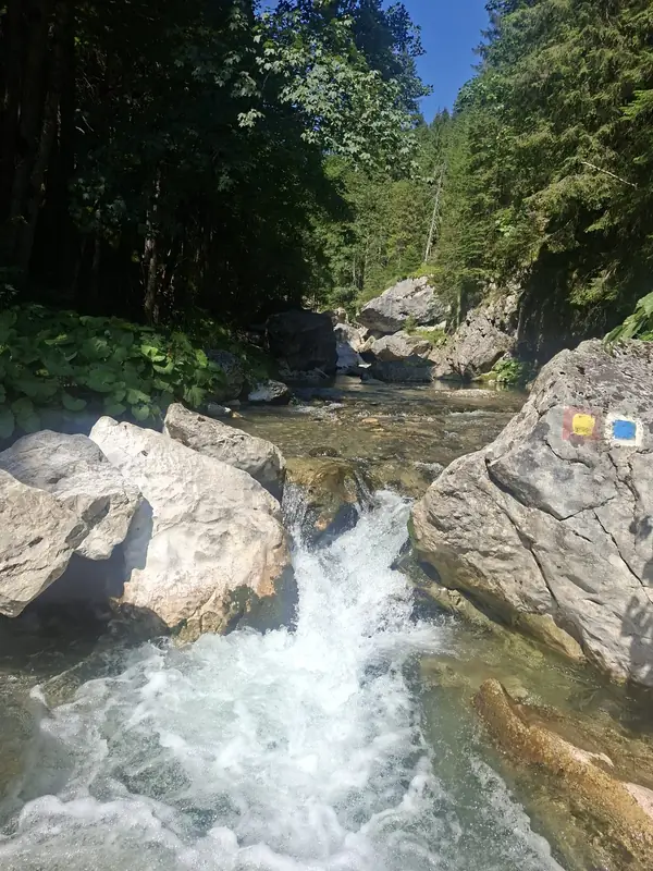 Apă curgătoare între stânci — Șapte Izvoare și Lacul Scropoasa